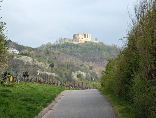 Hohe Loog, Neustadt
16. April 2023